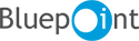bp brand festybay
