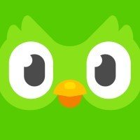 duolingo logo 1 festybay