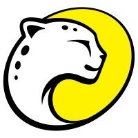 playtika logo festybay
