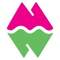 meow wolf logo festybay