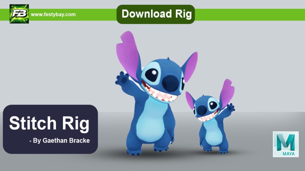 Stitch Rig