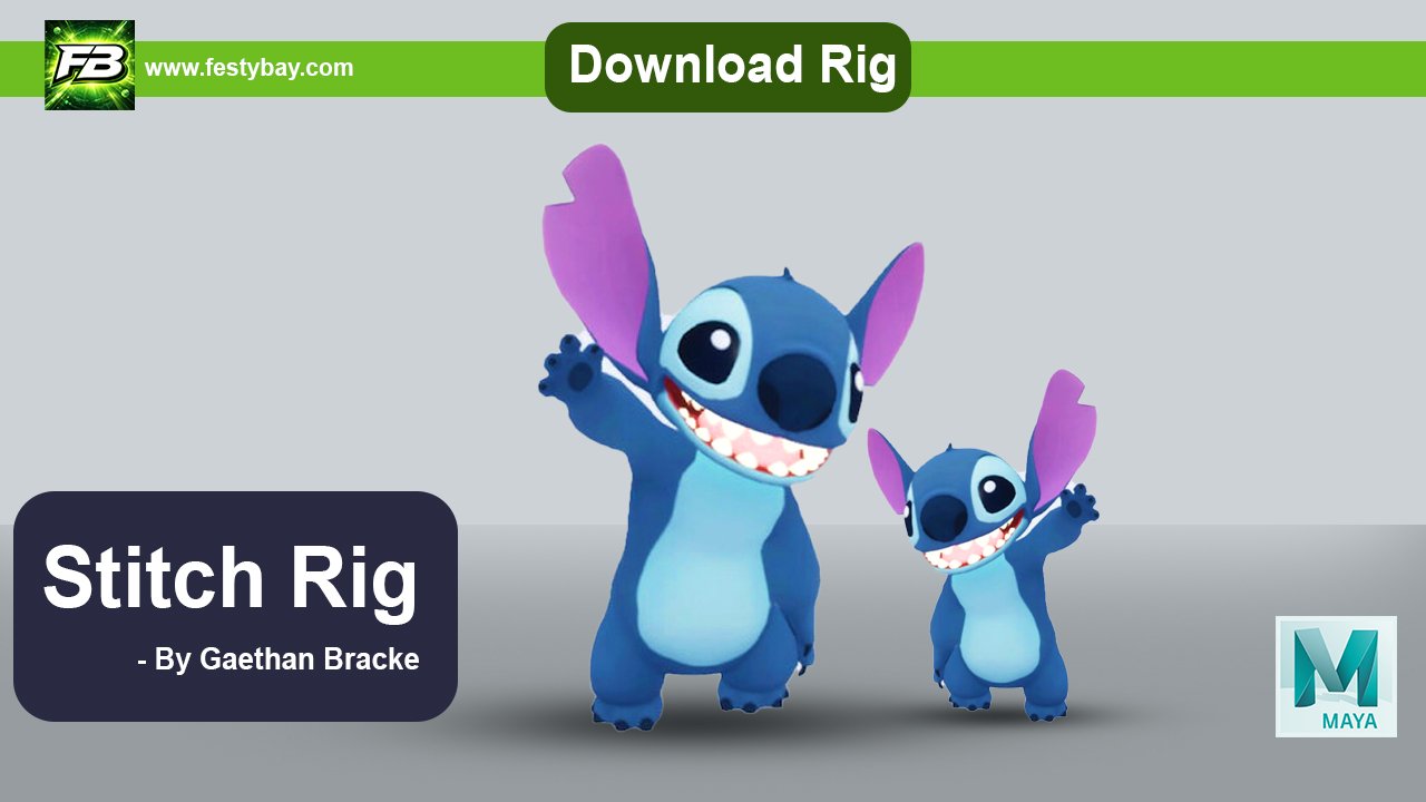 Stitch Rig